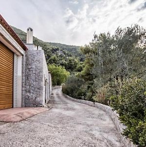 Rodia Eco Stay House In Epidavros - Akros Estate Νέα Επίδαυρος Exterior photo