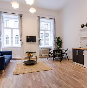 Spacious 3 Room Apartment In Downtown Βουδαπέστη Exterior photo