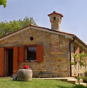 House In Istria In Pristine Nature Βίλα Šmarje Exterior photo