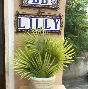 Lilly Bed and Breakfast Σουλμόνα Exterior photo