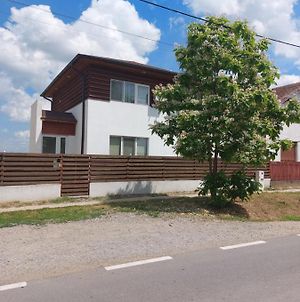 Vila Onix Ξενοδοχείο Săcueni Exterior photo