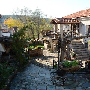 Noula'S And Giorgos' Cottage In Desfina Village- Near Delphi Exterior photo