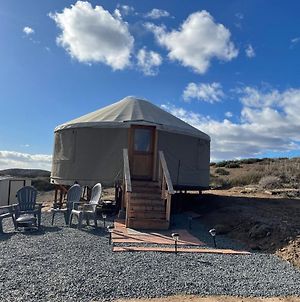 Yurt Escape With Amazing Country Views Ξενοδοχείο Τεμέκουλα
 Exterior photo