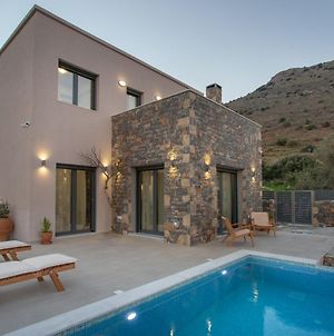 Villa Nesea Elounda With Private Pool - Happy Rentals Exterior photo