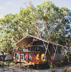 Port Stephens Koala Sanctuary Ξενοδοχείο One Mile Exterior photo