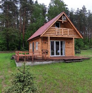 Samosiejka - Z Widokiem Na Jezioro Βίλα Lidzbark Welski Exterior photo