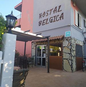 Hostal Belgica Palmanova Exterior photo