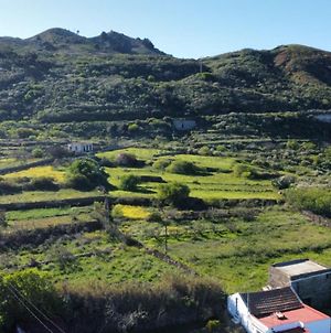 Casa Rural Con Chimenea, Barbacoa,Wifi Gratuita Y Vista Jardin Y Montana Βίλα El Pinar  Exterior photo