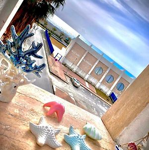 Alfieri Bed&Beach - Free Parking & Wifi Bed and Breakfast Praia a Mare Exterior photo