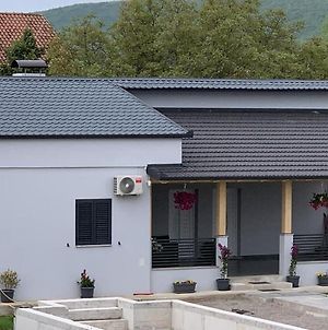 Palomino House Bed and Breakfast Sinj Exterior photo