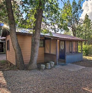 Comfy Lakeside Studio Cabin With Fire Pit! Διαμέρισμα Pinetop-Lakeside Exterior photo