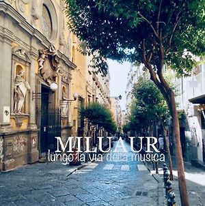 Miluaur - Centro Storico - Lungo La Via Della Musica! Bed and Breakfast Νάπολη Exterior photo