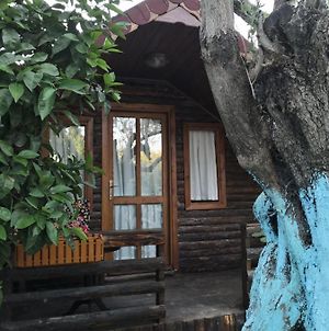 Zeytindagi Bungalow Mehmetalani Exterior photo