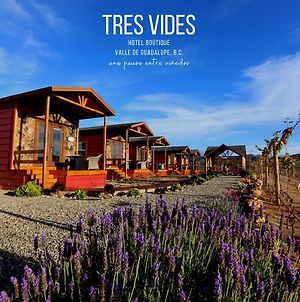 Tres Vides Bed and Breakfast Valle de Guadalupe Exterior photo