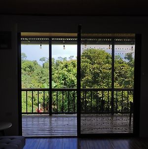 Casa Sibu Jungle Loft Con Ac, Cocina Y Balcon A 5 Min Del Centro Διαμέρισμα Drakes Bay Exterior photo