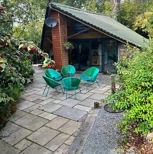 The Shed . A Cosy, Peaceful, 96% Recycled, Chalet. Διαμέρισμα Σουόνσι Exterior photo
