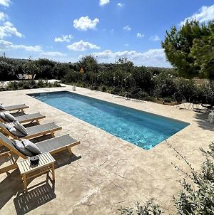 White Pearl Villa Naxos With Private Swimming Pool Naxos City Exterior photo