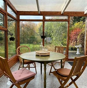 House With A Magical Garden And Sunroom Höfn Exterior photo