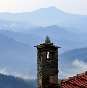Вила 'Гнездото', Villa 'The Nest', Rhodope Mountains, Banite Vishnevo Exterior photo