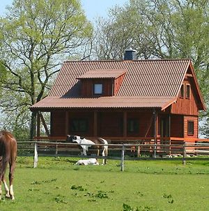 Gemutliches Ferienhaus In Der Natur Βίλα Osterrade Exterior photo