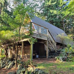 Cabin In The Woods Βίλα Bowen Island Exterior photo