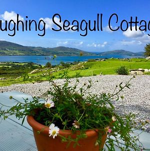 Laughing Seagull Cottage - Unspoilt Sea Views Castletownbere Exterior photo