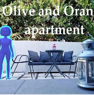 Olive And Orange Apartment Μυστράς Exterior photo