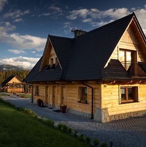 Witowianskie Domki Z Jakuzzi I Sauna Βίλα Dzianisz Exterior photo