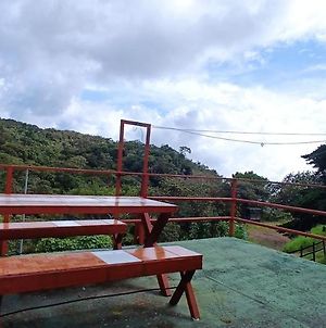 Monteverde Monkey Hostel Exterior photo