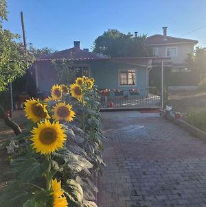 In The Village, With A Garden, One Floor, Detached Σηλυβρία Exterior photo