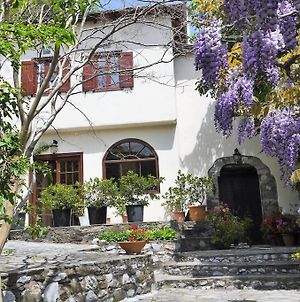 Wonderful 4 Bedroom Villa & Separate Guest House Villa Thalia Ζαγορά Exterior photo