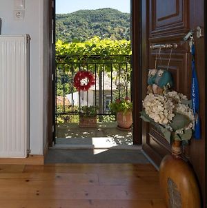Angelikon Vintage Guest House With Free Parking! Μακρυράχη Exterior photo