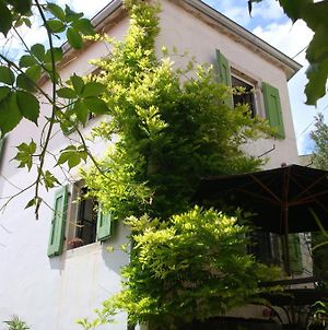 Casa Pino Pina Διαμέρισμα Motovun Exterior photo