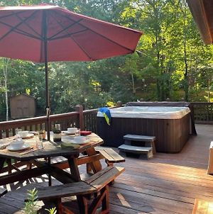 Lake Lure Oasis In The Woods W/ Hot Tub & More! Βίλα Exterior photo