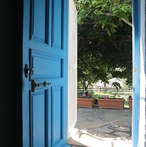Mustafa'Nin Fidan'I Bed and Breakfast İmroz Exterior photo