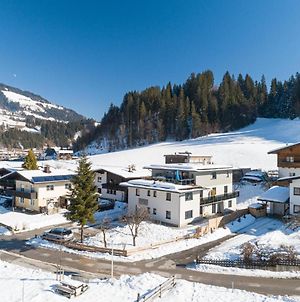Tirola Bude Lisi Top 3 Διαμέρισμα Hopfgarten im Brixental Exterior photo