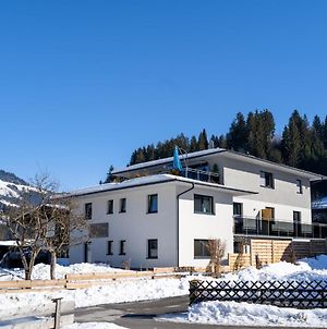 Resi Schorsch Lisi Sepp Top 1-4 Διαμέρισμα Hopfgarten im Brixental Exterior photo
