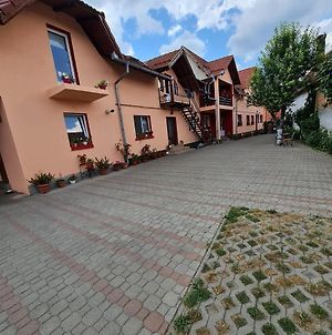Vila Vladut Ξενοδοχείο Zărneşti Exterior photo