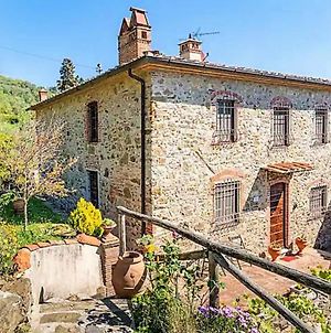 Villa Pera By Nicola Luxury Properties Corsanico-Bargecchia Exterior photo