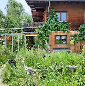 Bauernhaus Im Permakultur-Garten Διαμέρισμα Sankt Johann in Tirol Exterior photo