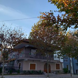 Vila Spaho Κορυτσά Exterior photo