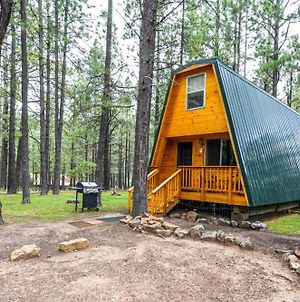 Rustic Cabin 3 - Two Bedroom Forest Lakes Estates Exterior photo