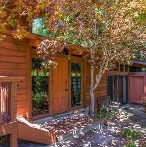 Monthly Only - Canyon Cottage In The Redwoods Near Downtown Σάντα Κρουζ Exterior photo