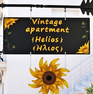 Vintage Apartment Helios Καλαμπάκα Exterior photo