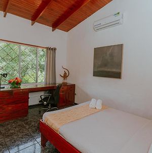 Panoramic Jungle View House, Walking Distance To Everything Βίλα Quepos Exterior photo