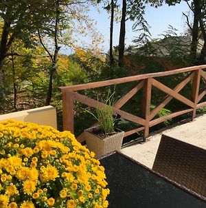 Όμορφος χώρος μέσα στο πράσινο με θέα στο Αιγαίο Βίλα Τσαγκαράδα Exterior photo