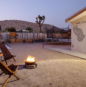 Sweet Suite In The Desert By The Joshua Tree Resort Yucca Valley Exterior photo