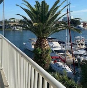 Pet Friendly Marina View Condo With Heated Pool Clearwater Beach Exterior photo