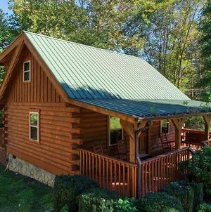 2020 Land Of Promise Way Cabin Βίλα Cosby Exterior photo