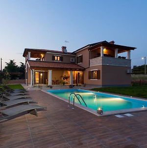 Villa Roza With Large Garden And Playground For Kids - Whirlpool Tinjan Exterior photo